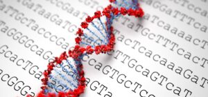 Onze microben zijn sterker en invloedrijker dan onze genen